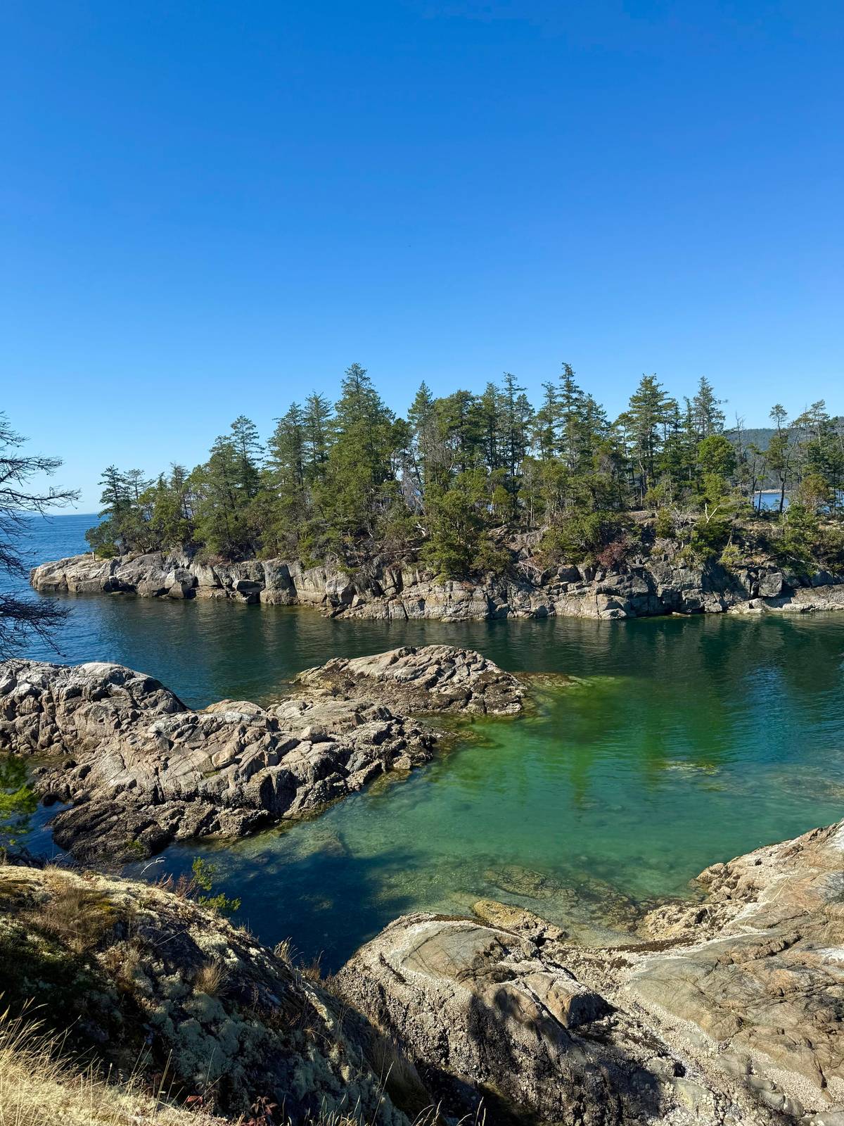 Clear green water and rocky pine covered shoreline on the Sunshine Coast