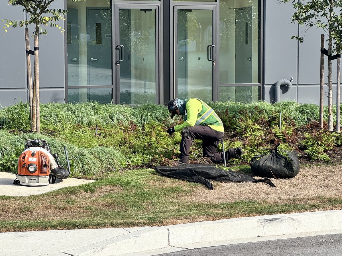 Cedar Creek crew member weeding and tidying a planted bed outside a building