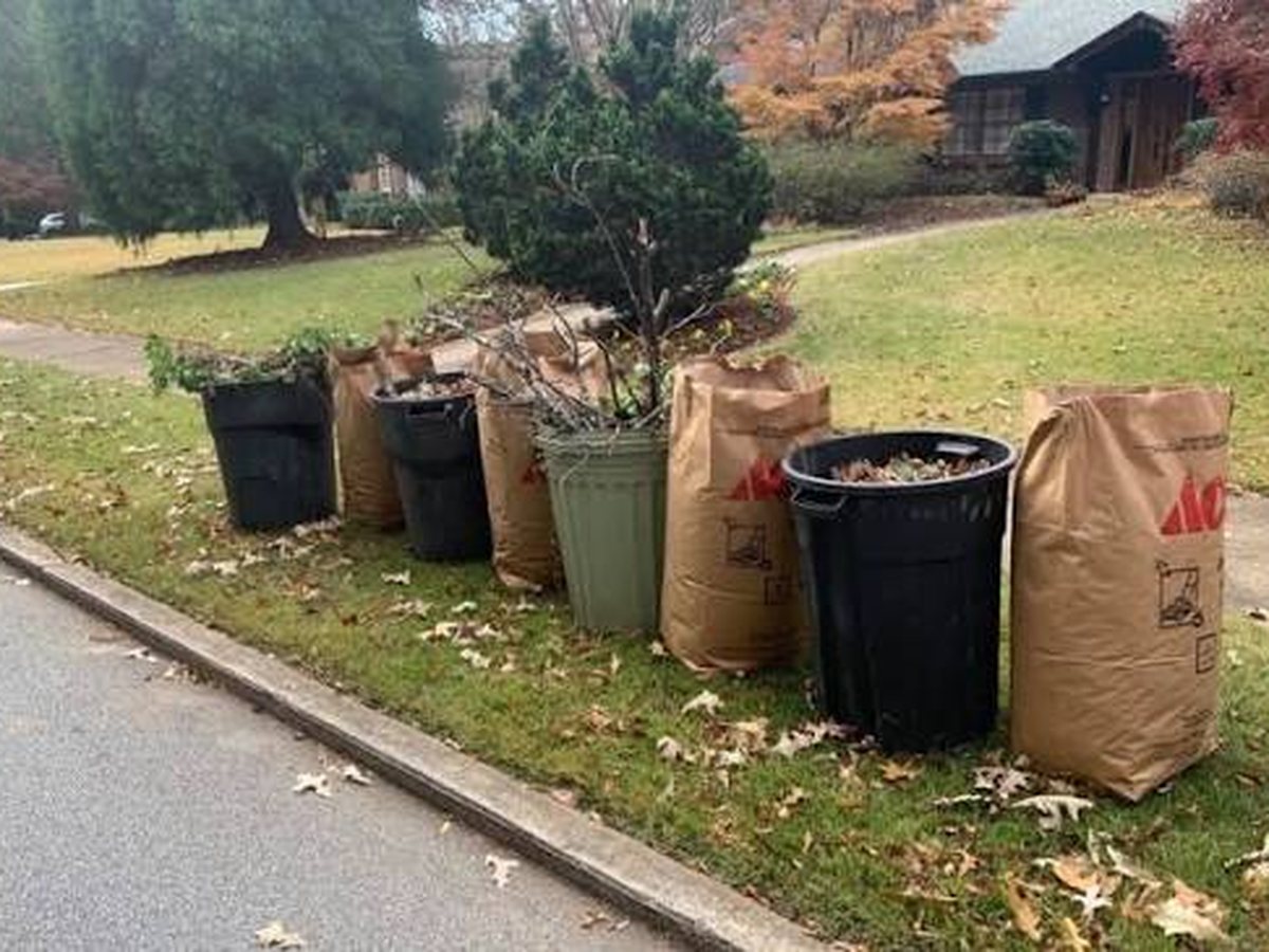 Paper yard waste bags and bins filled with leaves and branches at the kerb