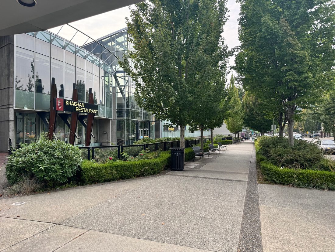 Tree lined commercial promenade with clipped hedges and seating